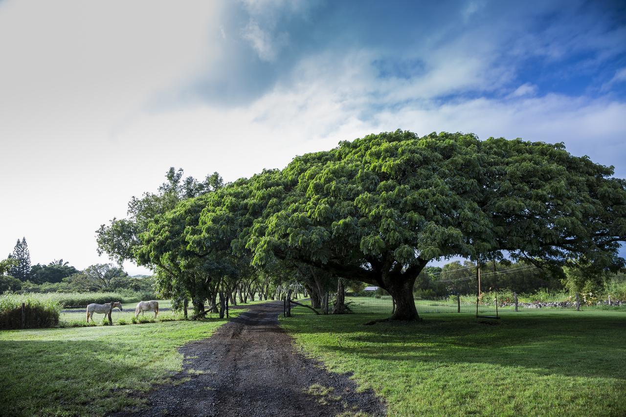 Hotel Puakea Ranch Hawi Zewnętrze zdjęcie