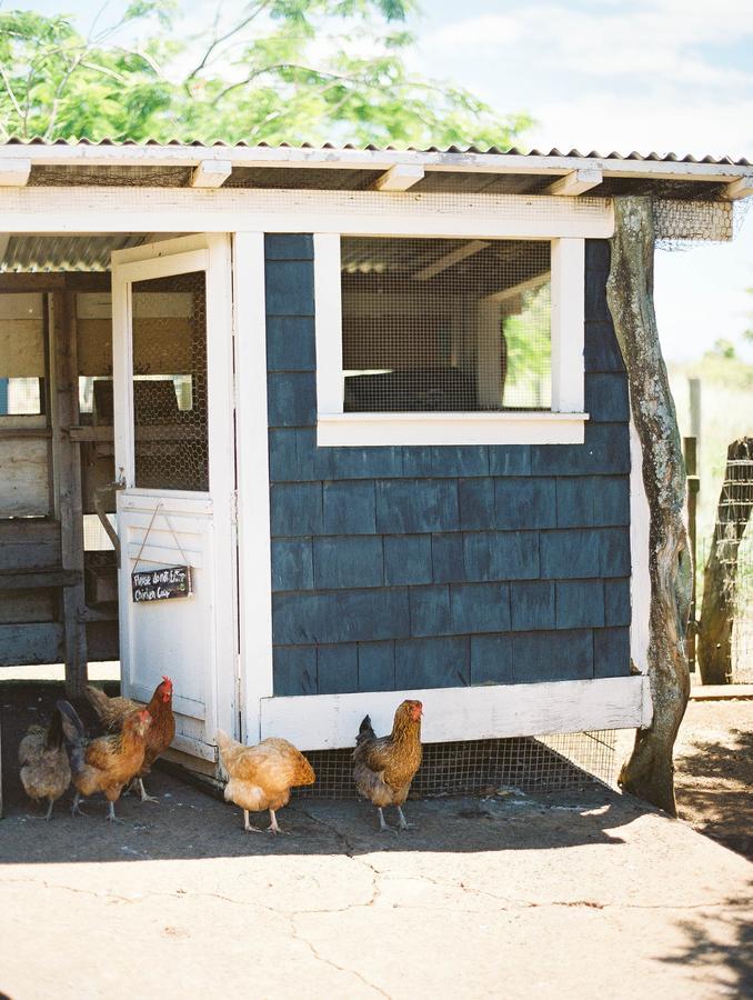Hotel Puakea Ranch Hawi Zewnętrze zdjęcie