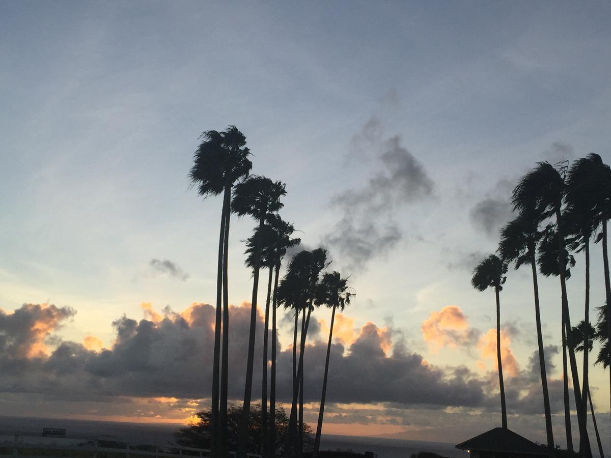 Hotel Puakea Ranch Hawi Zewnętrze zdjęcie